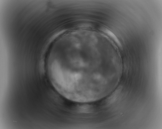 X0000092091019200709262119