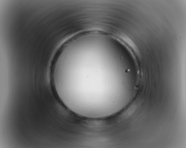 X0000092091020200709262119