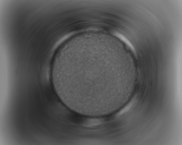 X0000092091021200709262119