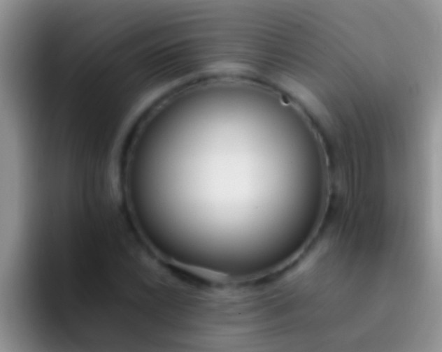 X0000092091022200709262119