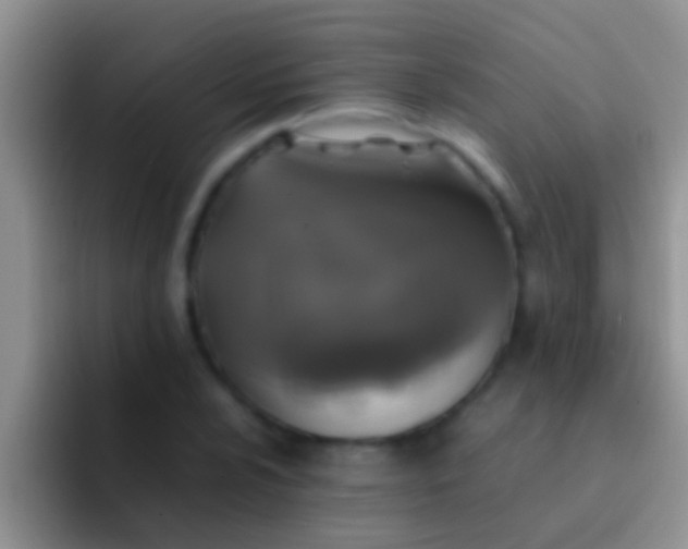 X0000092091024200709262119