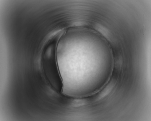 X0000092091026200709262119