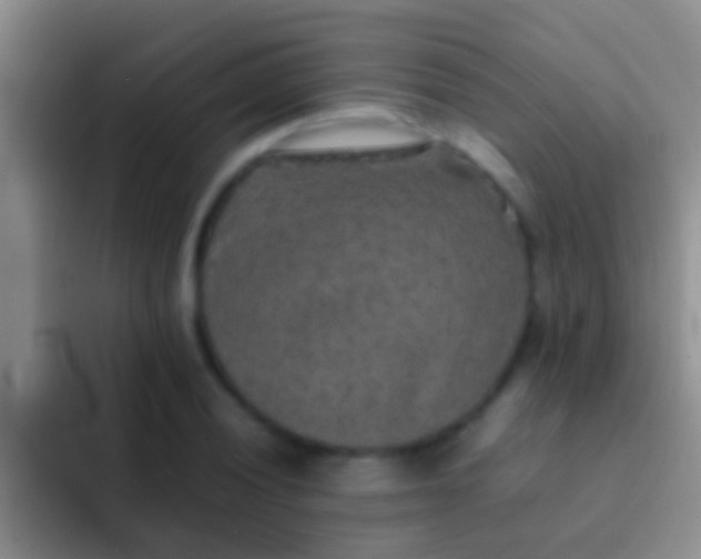 X0000092091028200709262119