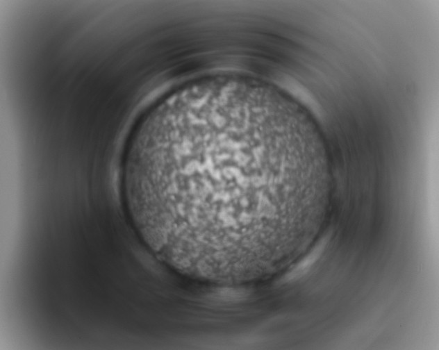 X0000092091029200709262119
