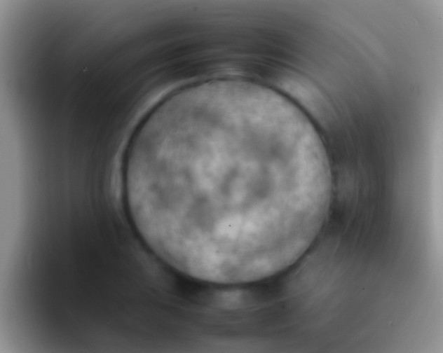 X0000092091031200709262119