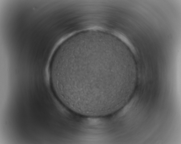X0000092091032200709262119