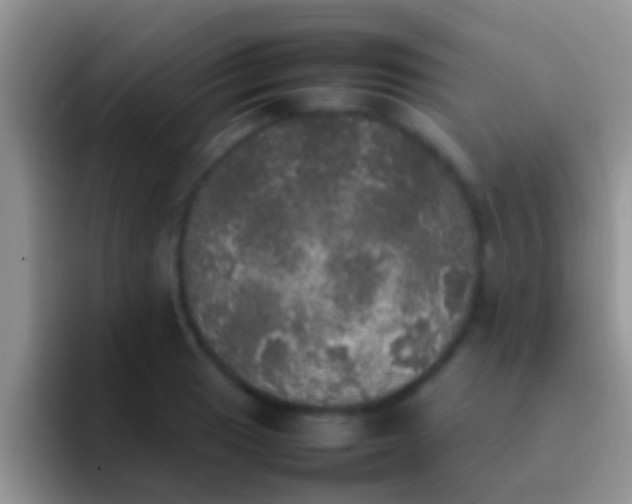 X0000092091033200709262119