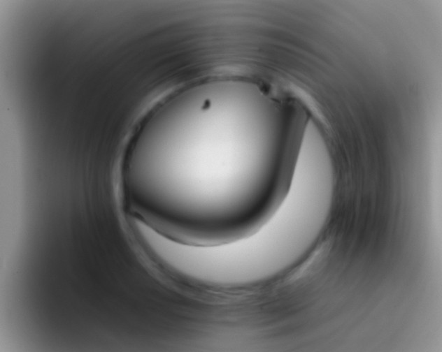 X0000092091034200709262119