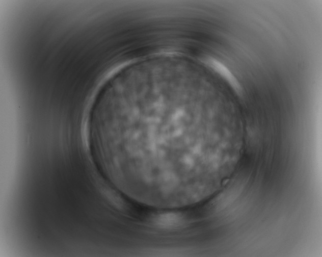 X0000092091035200709262119