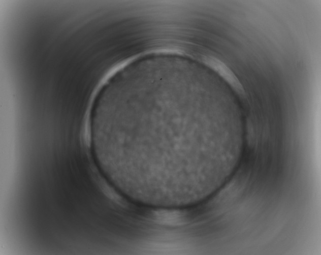 X0000092091036200709262119
