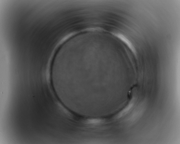 X0000092091037200709262119