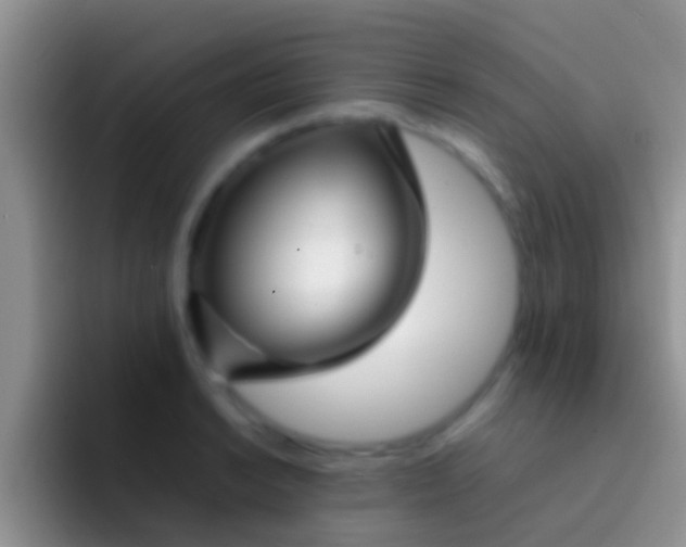 X0000092091038200709262119