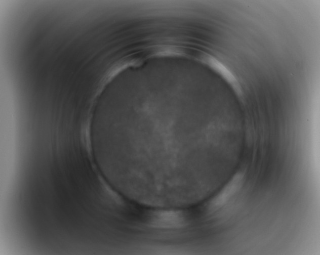 X0000092091041200709262119