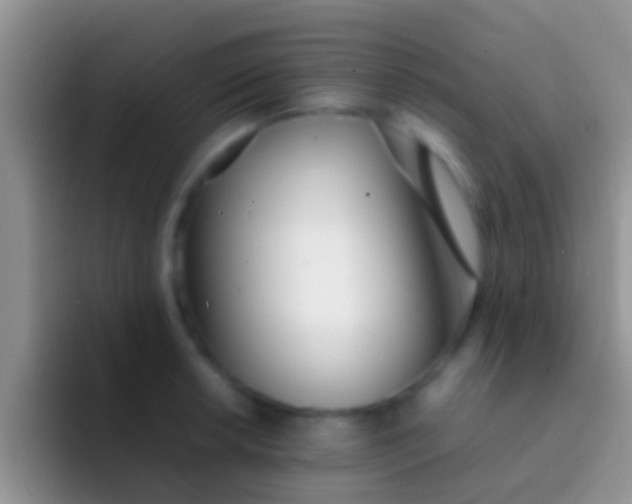 X0000092091042200709262119