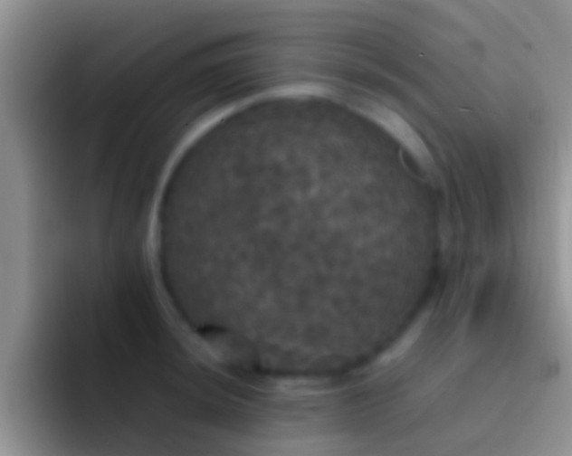 X0000092091044200709262119