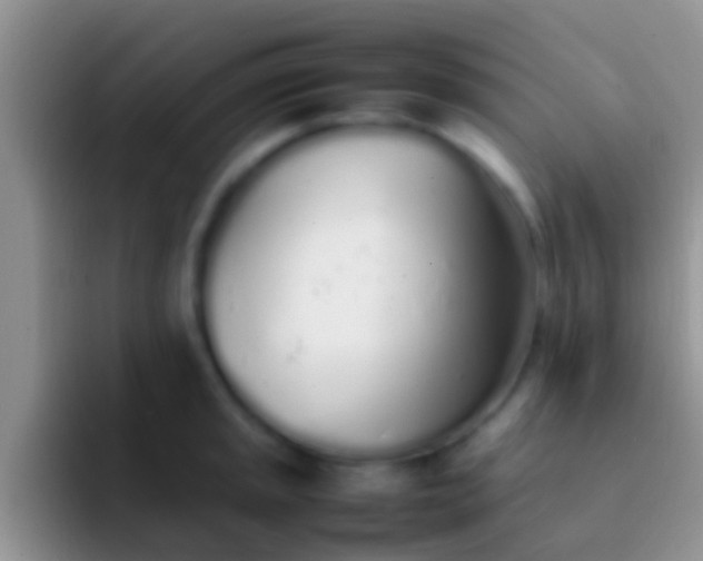 X0000092091045200709262119