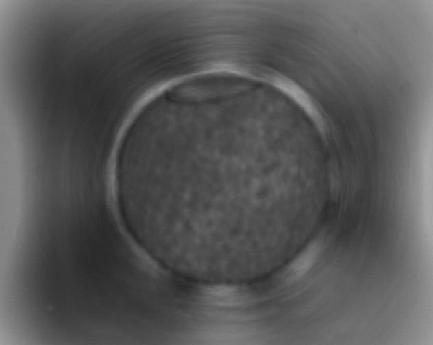 X0000092091048200709262119