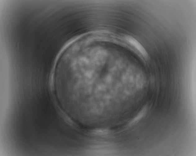 X0000092091052200709262119