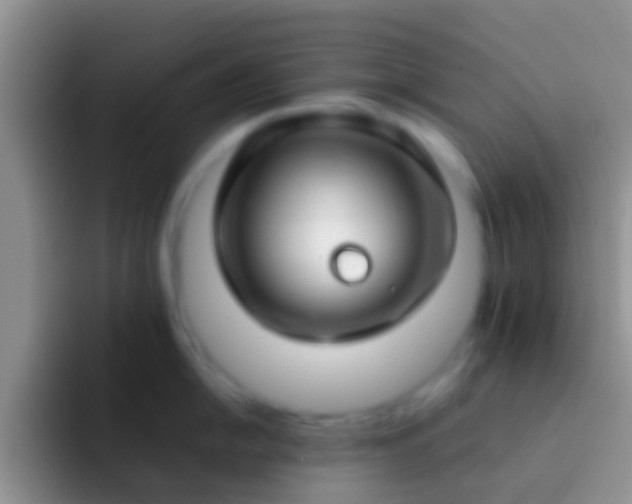 X0000092091054200709262119
