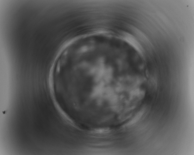 X0000092091055200709262119