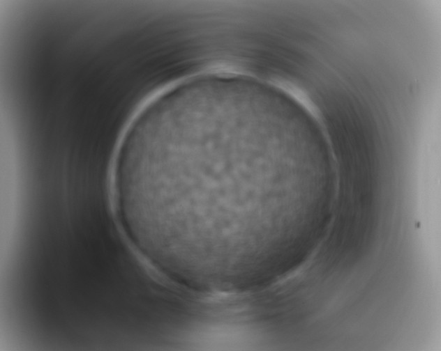 X0000092091056200709262119