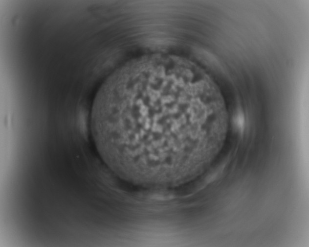 X0000092091060200709262119