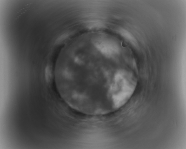 X0000092091063200709262119