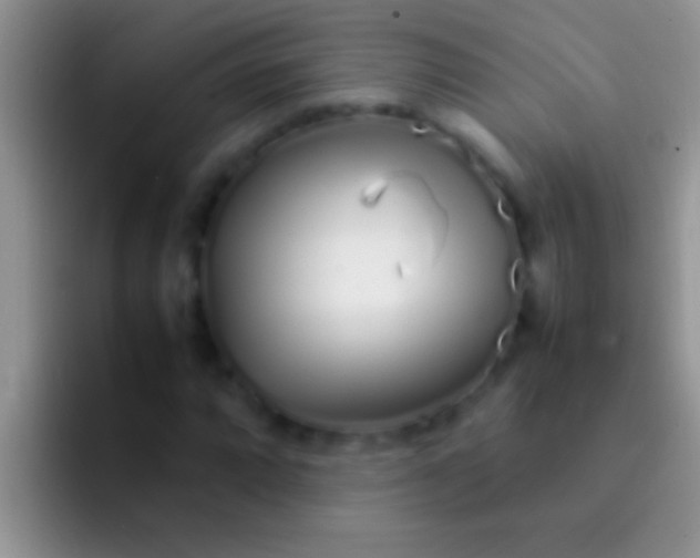 X0000092091064200709262119