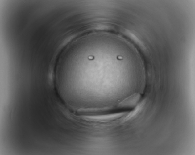 X0000092091065200709262119