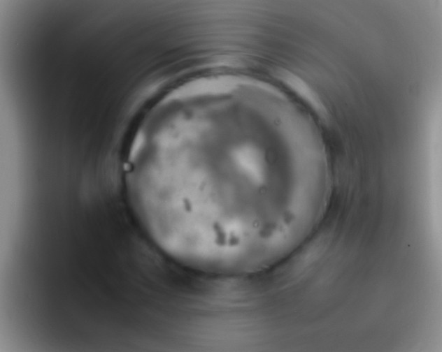 X0000092091067200709262119