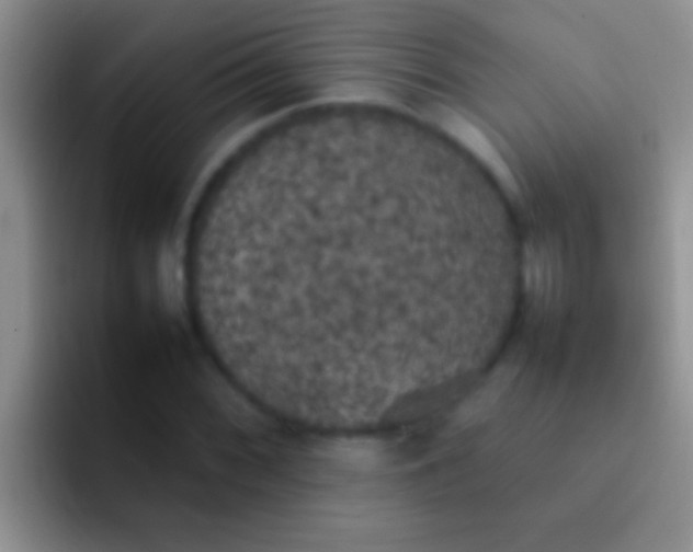X0000092091068200709262119