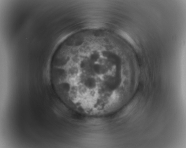 X0000092091071200709262119