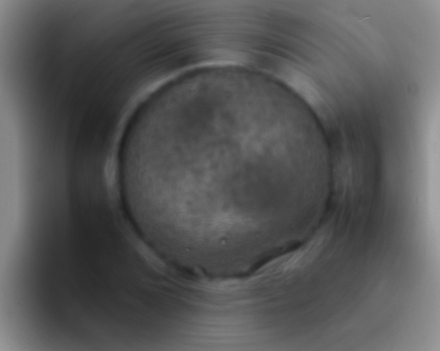 X0000092091072200709262119
