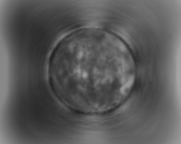 X0000092091075200709262118
