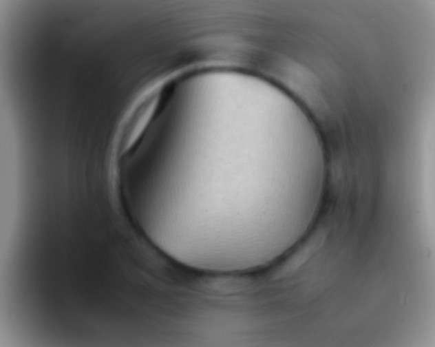 X0000092091077200709262118