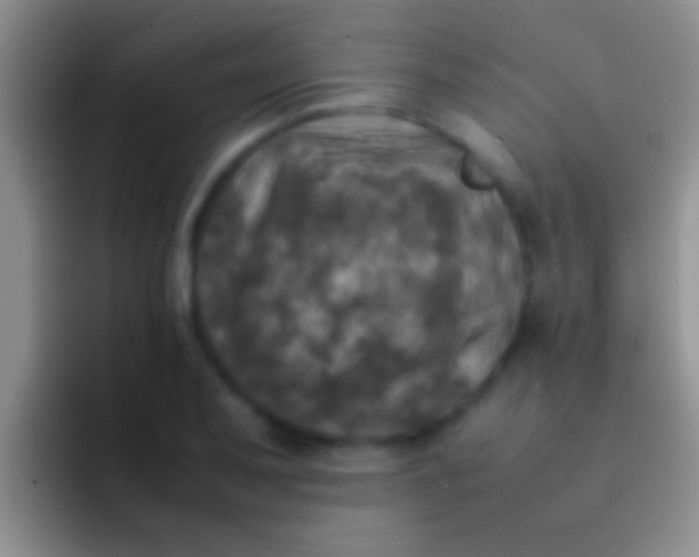 X0000092091079200709262118