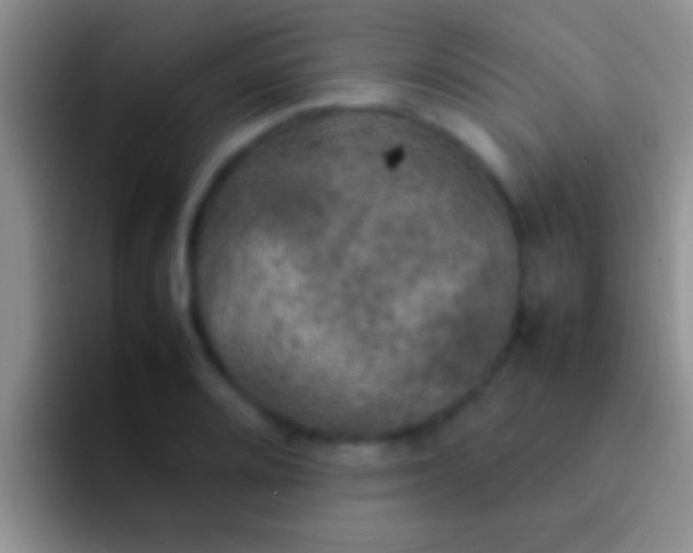X0000092091080200709262118