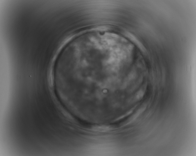 X0000092091083200709262118