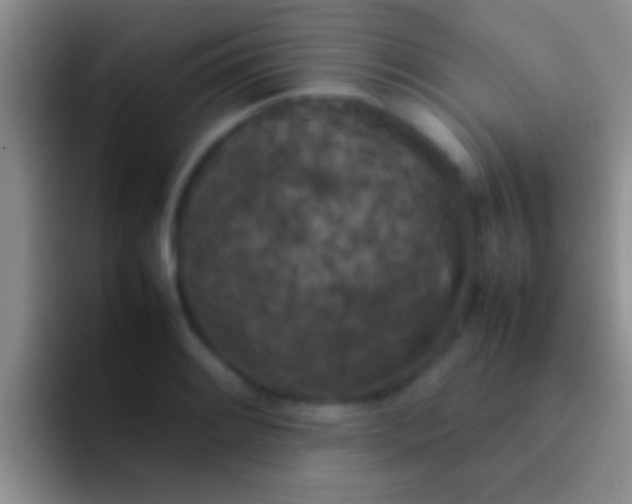 X0000092091084200709262118