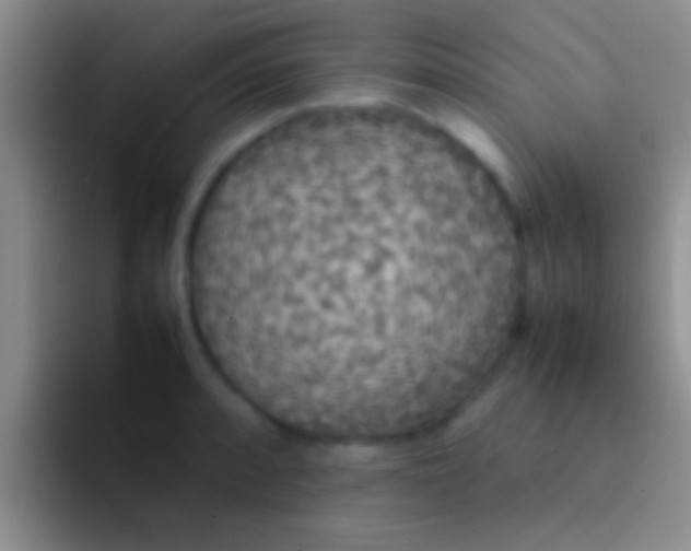 X0000092091088200709262118