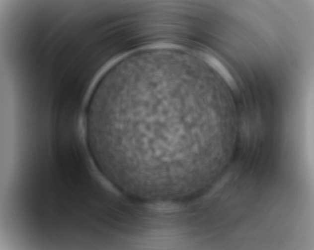 X0000092091092200709262118