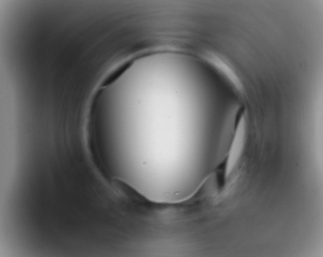 X0000092091093200709262118