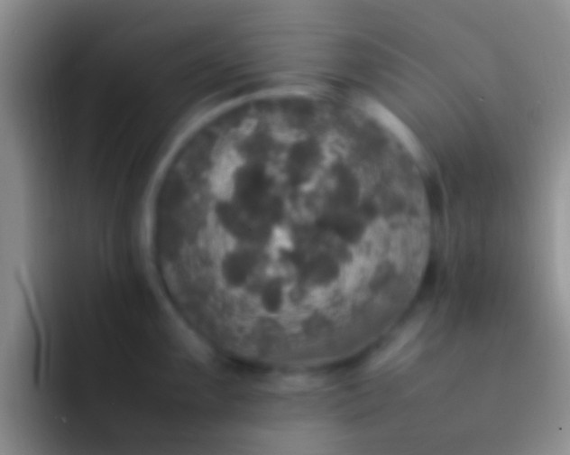 X0000092091099200709262118