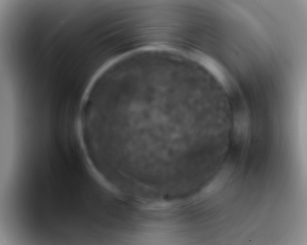 X0000092091100200709262118