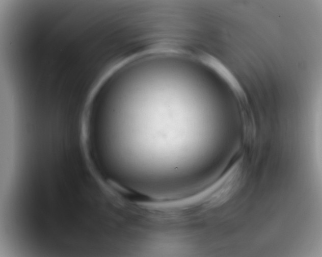 X0000092091101200709262118