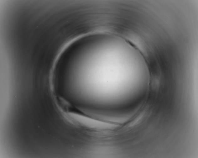 X0000092091102200709262118