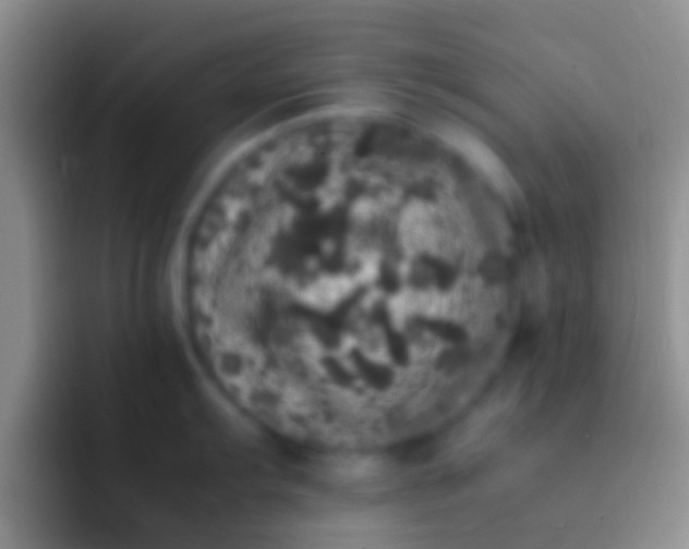 X0000092091103200709262118