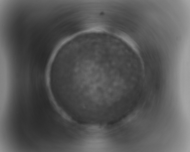X0000092091104200709262118