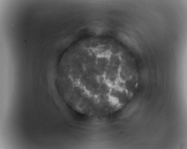 X0000092091105200709262118