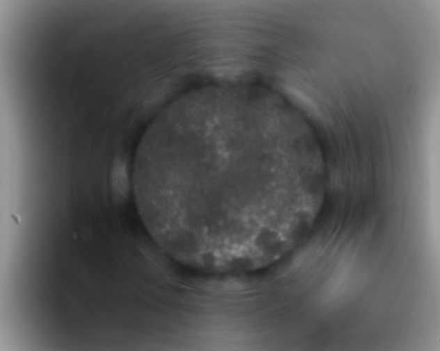 X0000092091106200709262118